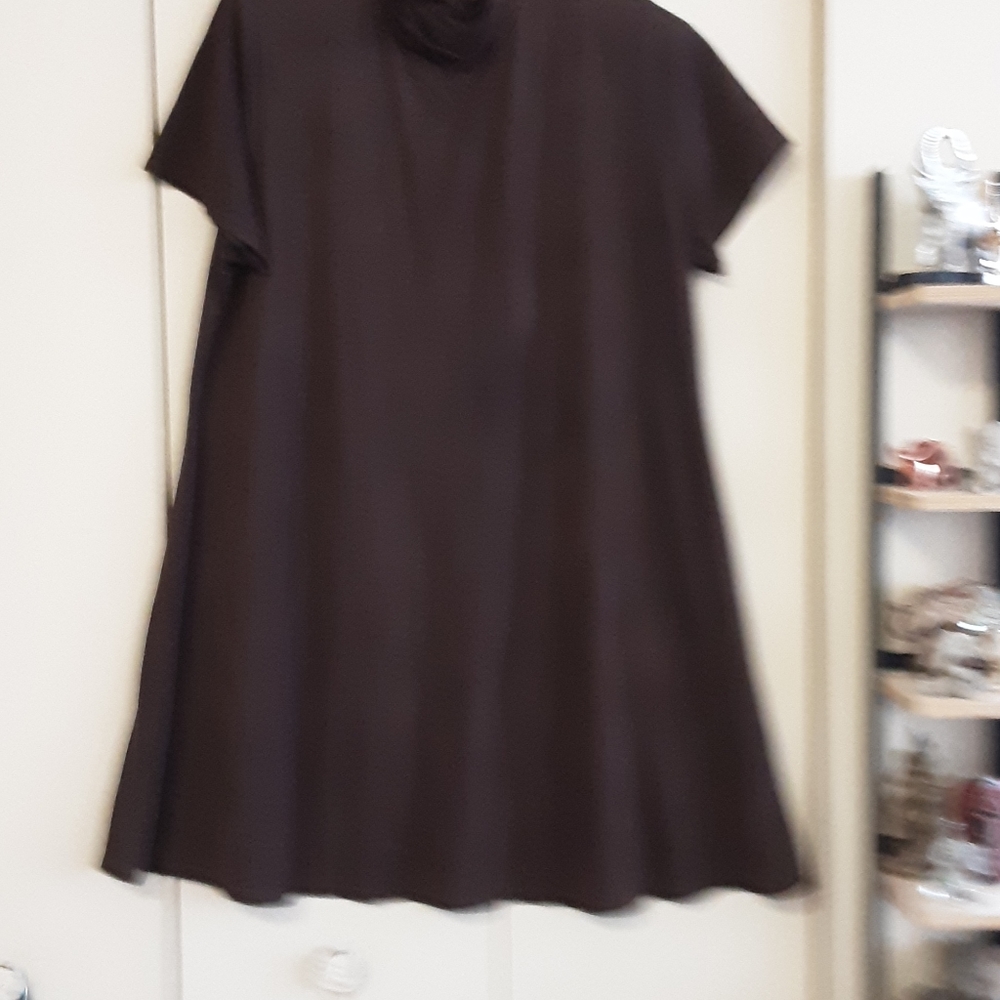 Brown velour dress